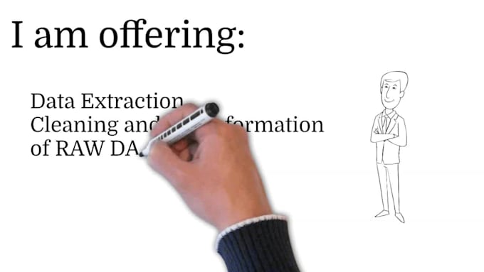 provide express service for data cleaning and formatting