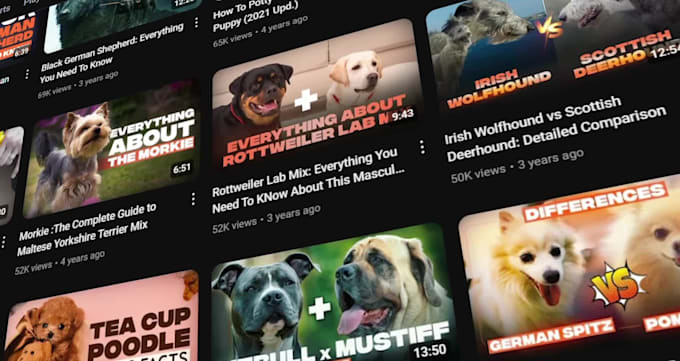 design attractive thumbnail youtube videos