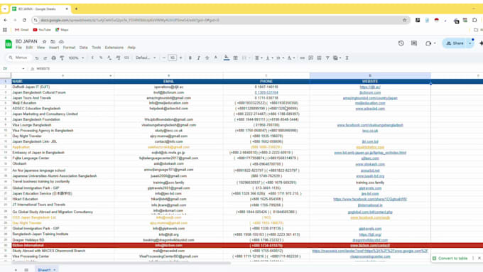 be your professional data entry operator and assistant