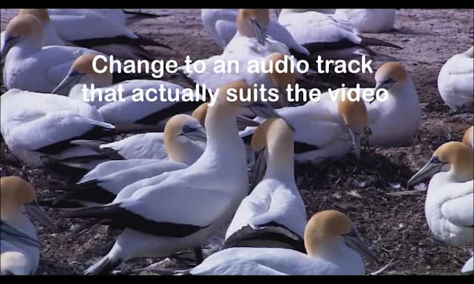 edit videos, do conversion of videos and correct sync issues