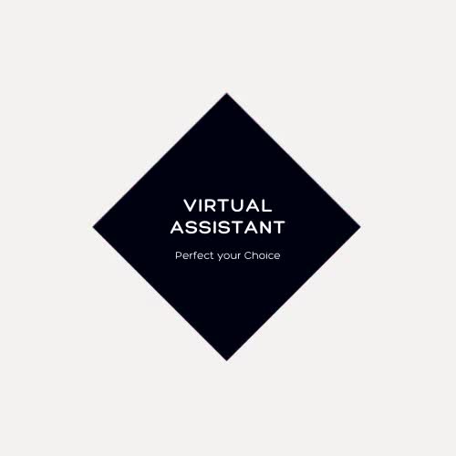 be your professional virtual assistant