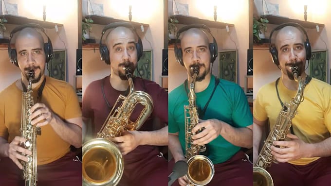 record pro saxophone, clarinet, flute and horn section
