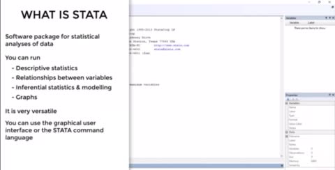Analyze statistical data by using stata r and spss by Qadeerakli | Fiverr