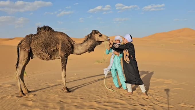 deliver funny happy birthday video with camel