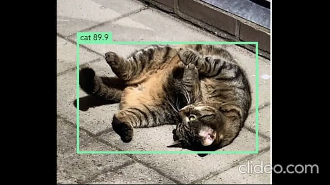 do image annotation, segmentation, bounding box, and all data labeling for ai