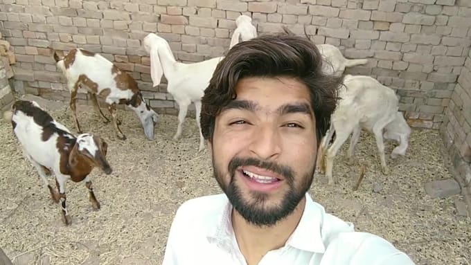 wish happy birthday and sing happy birthday song funny style
