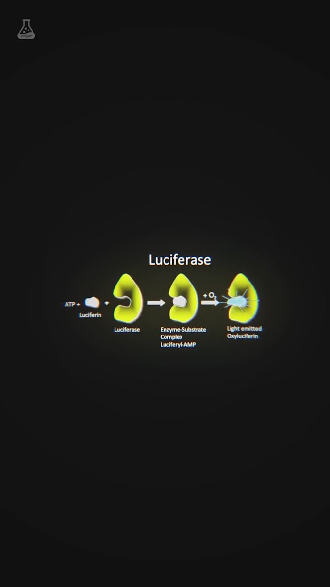 create engaging motion graphics reels and shorts