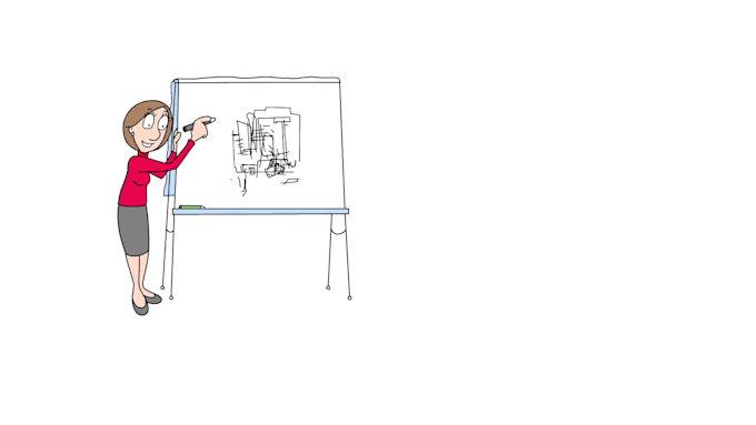 create professional whiteboard animation explainer videos for business startup