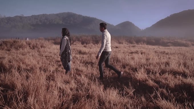 do a profesional prewedding video editing