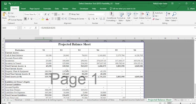 prepare a feasibility study, financial model, and business forecasting report