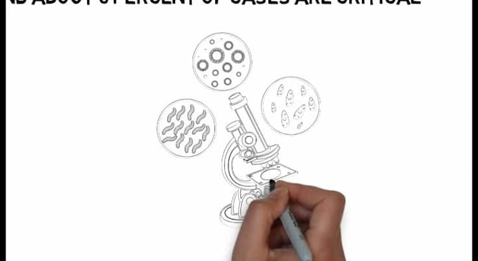 do whiteboard animation with video scribe, doodly, 2d animations
