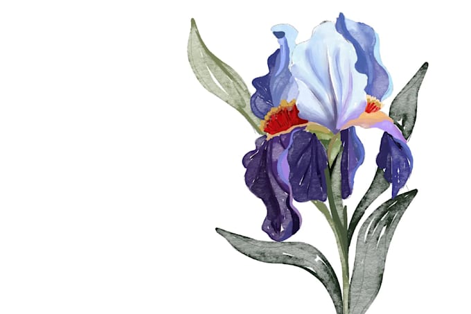 amazing custom procreate brushes