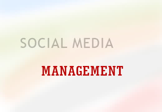 Manage Your Social Media Accounts By Miracert Fiverr