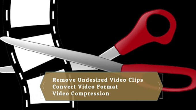 economically edit videos in a professionally efficient manner