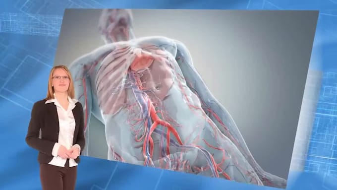 Create 3d medical animation 3d orthopedic animation medical 3d surgery ...