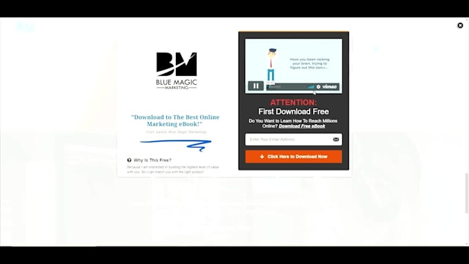 design a professional website for record labels and small businesses