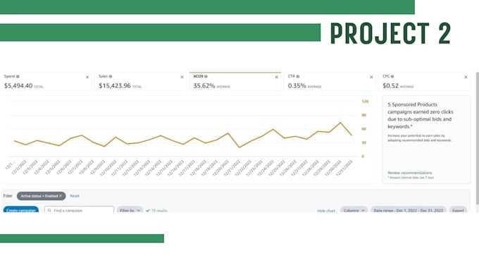 manage amazon PPC campaign optimization