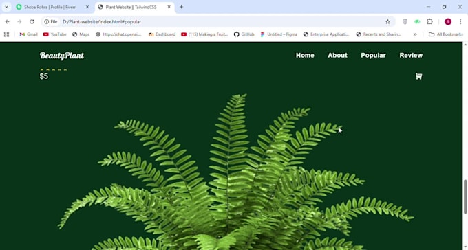 provide custom web development services