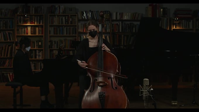 teach virtual double bass lessons