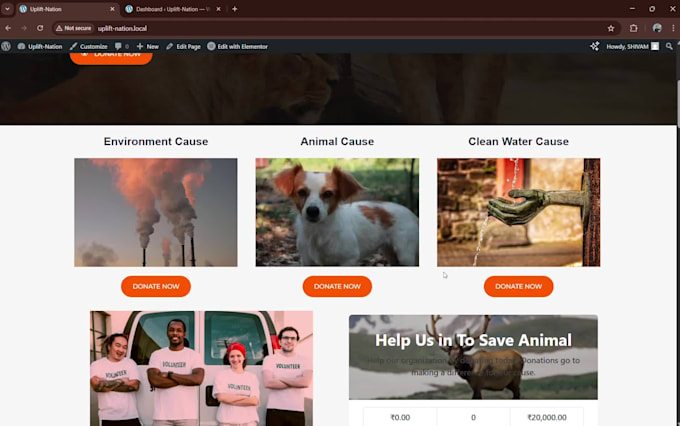 design and develop a professional wordpress website