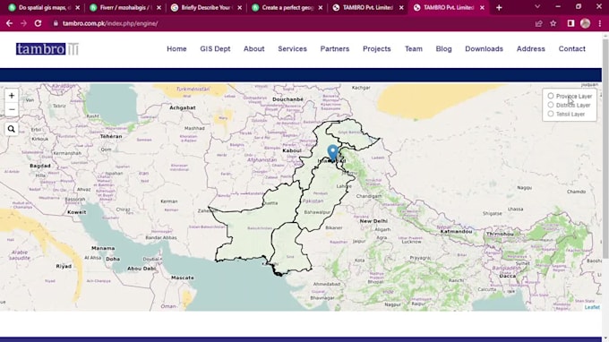 provide professional gis and remote sensing services and geospatial solutions
