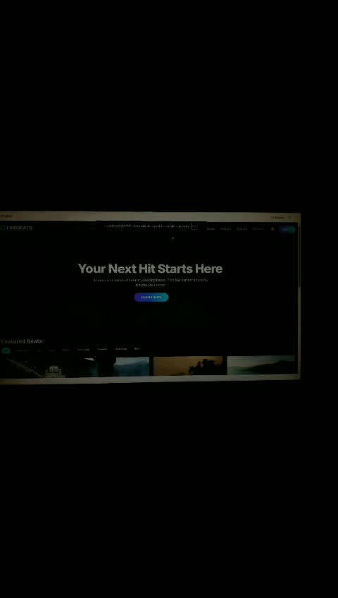 design and develop a modern web app for selling beats online