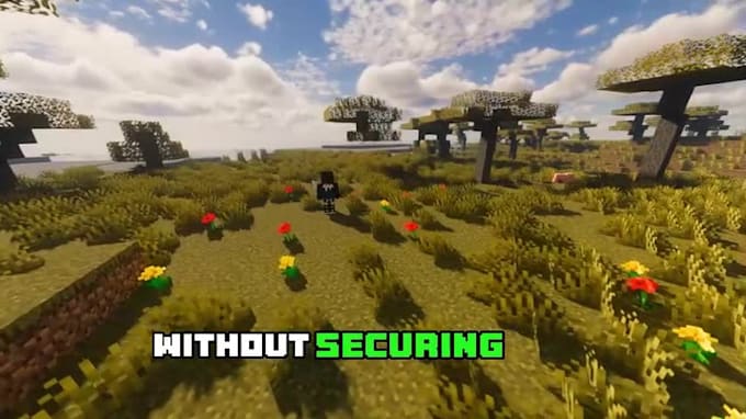 promote your minecraft server through tiktok advertising