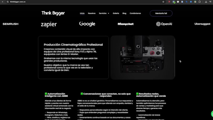 design and build a professional wordpress website with elementor pro