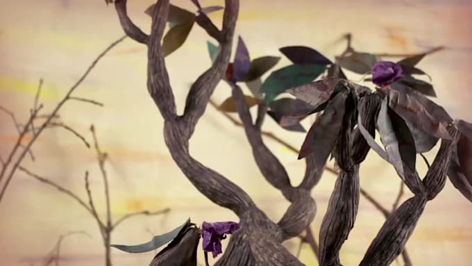 make a stop motion animation for you