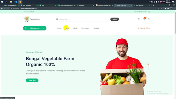 create a professional website using laravel, vue3