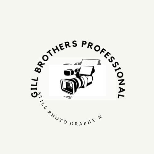 we are professional graphics designer canva designer