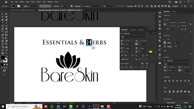 create a professional and timeless logo for your business