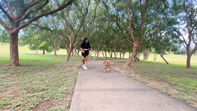 create ugc videos for your pet brand