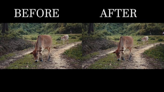 smooth and stabilize your shaky video, footage fast