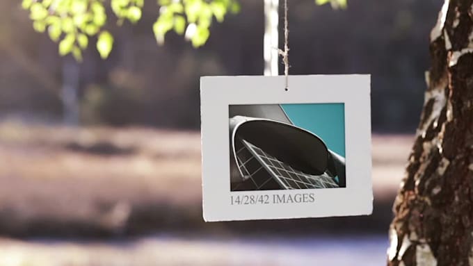 create a beautiful summer nature photo gallery animation
