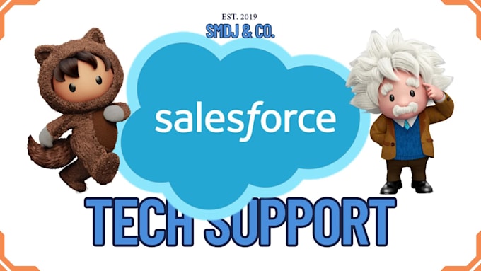 be your expert salesforce admin and developer for any sf task