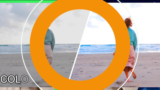 professionally cut and merge and edit your videos as your wish