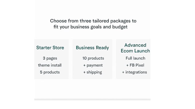 build and launch your professional shopify store