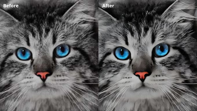 enhance and upscale your photos using ai technology