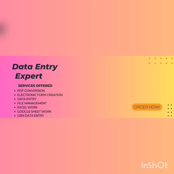 Do data entry, ms excel, google sheet, pdf conversion and form creation