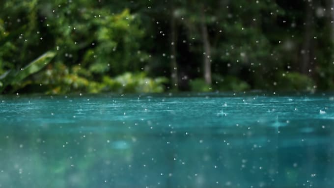 do simple and professional video editing in 24 hours