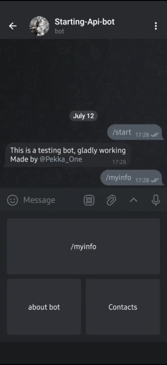 write a telegram bot