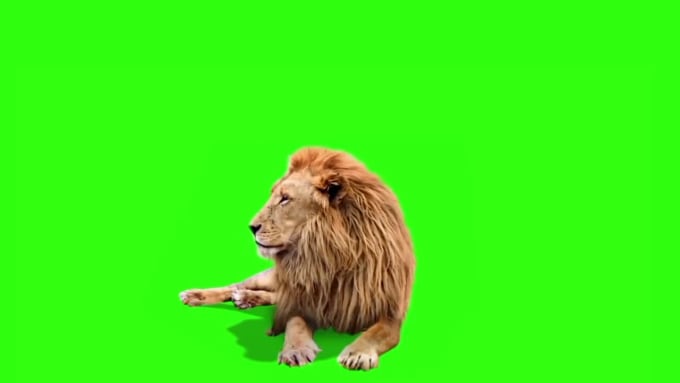 phone vector for green screen video editing