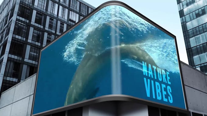 edit your after effects templates to customise video