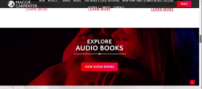 author website, course website, ebook website, music website, artist website