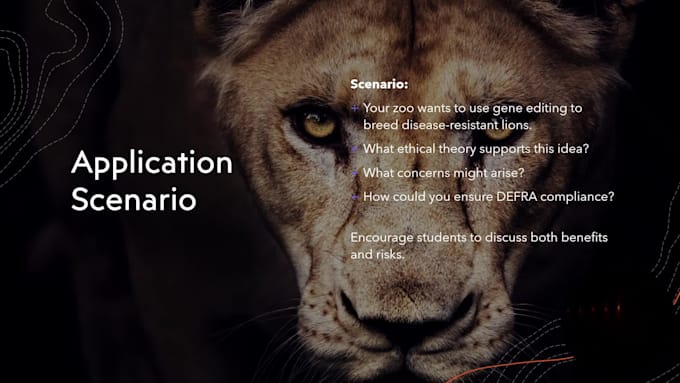 design a professional powerpoint presentation