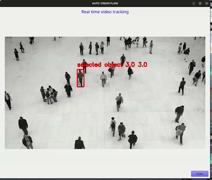 build real time object detection and tracking system on raspberry pi