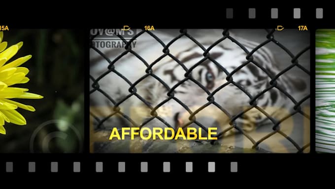 do best quality video editing at cheapest price