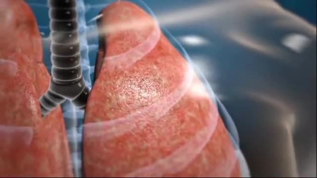 do high quality 3d medical animation video and modelling