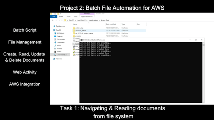 Do any python projects, scripts, and automation tasks within 24 hrs by ...